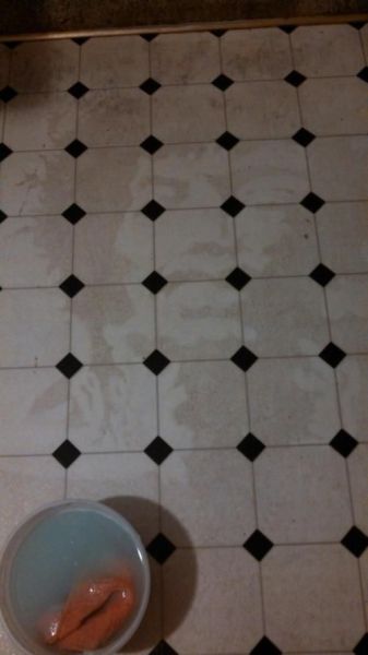 daily_picdump_1302_640_87