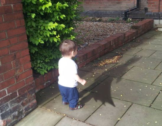 daily_picdump_1303_640_96