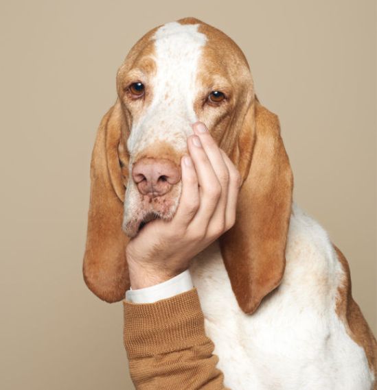 daily_picdump_1309_640_19