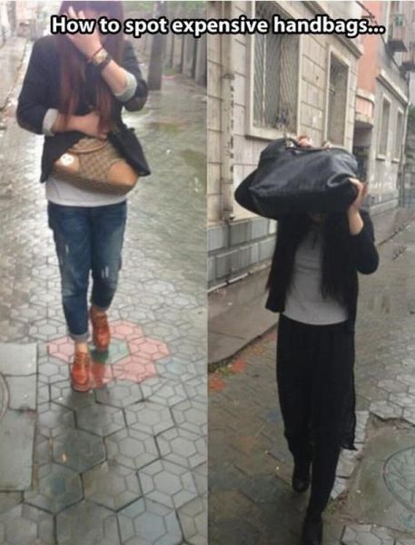 daily_picdump_1319_640_01